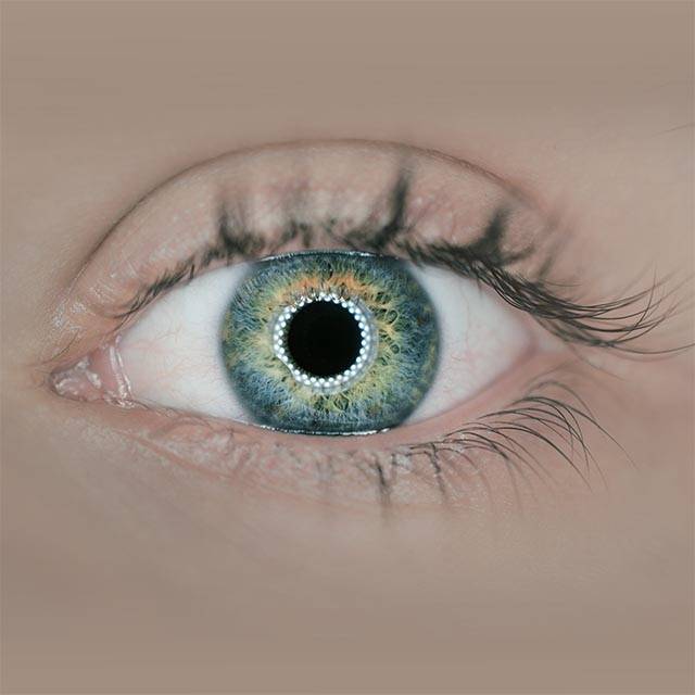 optometrist, green woman eye in Oak Brook, Illinois